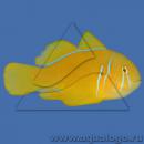 Гобиодон лимонный MGobiodon citrinus