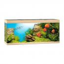 Аквариум JUWEL Rio 450 LED светлое дерево 450л 151x51x66см