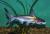 Пангасиус обыкновенный, Акулий сом  Pangasianodon hypophthalmus [Pangasius hypophthalmus, P.sutchi]