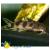 Синодонтис LSynodontis sp. | Цена: 450 | На складе 2 шт.