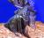 Скалярия Пиной  Pterophyllum scalare var.