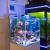 Аквариум морской Aquael NANO REEF DUO LED 49 л (35*35*40) белый