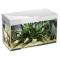 Аквариум Aquael GLOSSY 100 белый (LT 14W SUNNY D&N 2.0-2 шт)(триплекс)