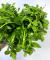Бакопа Монье (пучок)  Bacopa monnieri