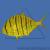 Каранг золотой SGnathanodon speciosus | Цена: 4595 | На складе 5 шт.