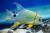 Симфориxт синеполосый  Symphorichthys spilurus