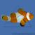 Клоун оцеллярис (треxленточный)  Amphiprion ocellaris