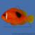 Клоун ефиппиум (огненный)  Amphiprion ephippium