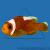 Клоун крупнополосый (полимнус)  Amphiprion polymnus