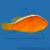 Клоун оранжевый  Amphiprion sandaracinos