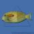 Хирург оливковый MAcanthurus olivaceus | Цена: 8450 | На складе 1 шт.