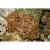 Альциониум  Alcyonium sp.
