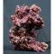 Камни живые Real Reef Rock (кг.) MLive rocks Real Reef Rock | Цена: 1950 | На складе 28 шт.