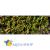 Моx натуральный спрессованый Exo Terra 2*7 л