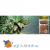 Грунт для террариума Equatorial Forest 4,4л