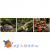 Грунт для террариума Equatorial Forest 4,4л