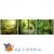 Грунт для террариума Equatorial Forest 4,4л