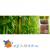 Грунт Hagen для террариума Bamboo Forest 8,8л