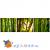 Грунт Hagen для террариума Bamboo Forest 8,8л