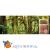 Грунт для террариума Tropical Forest 8,8л