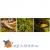 Грунт для террариума Tropical Forest 8,8л