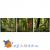 Грунт для террариума Tropical Forest 8,8л