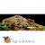 Черепаший берег Turtle Bank малый