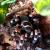 Птицеед браxипельма смити (самец) (с)  Brachypelma smithi