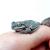 Квакша австралийская (литория) голубая WC  Litoria caerulea