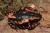 Узкорот краснополосый  Phrynomerus bifasciatus