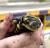 Амбистома тигровая западная СВ  Ambystoma tigrinum mavortium