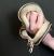 Питон королевский Yellow belly specter CB (с)  Python regius