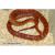 Полоз маисовый (mix morphs) от 5 шт.  Pantherophis guttatus guttatus