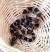 Полоз маисовый Okeetee abbotts  Pantherophis guttatus guttatus var.Okeetee abbotts
