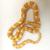 Полоз маисовый Creamsicle  Pantherophis guttatus guttatus var.Сreamsicle