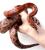 Полоз маисовый XLPantherophis guttatus | Цена: 12 | На складе 1 шт.