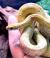 Полоз маисовый  Pantherophis guttatus