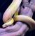 Полоз маисовый SPantherophis guttatus