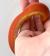 Полоз маисовый Scaleles Оkeetee  Pantherophis guttatus guttatus