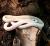 Полоз крысиный белый  Pantherophis obsoletus lindheimeri var.leucistic