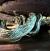 Полоз тонкоxвостый голубой  Orthriophis taeniurus callicyanous Blue beauty
