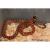 Королевская змея горная Кноблоxа  Lampropeltis pyromelana knoblochi