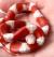 Молочная змея Нельсона Albino T+  Lampropeltis polyzona nelsoni (L. triangulum nelsoni) var.Albino T+
