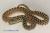 Сосновая змея сонорская Het.Albino  Pituophis catenifer affinis Het.Alb.