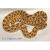 Уж свиноносый Anaconda  Heterodon nasicus Anaconda