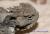 Жабовидная ящерица плоскорогая  Phrynosoma platyrhinos