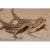 Агама бородатая mix.  Pogona vitticeps