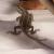 Агама бородатая mix.  Pogona vitticeps
