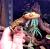 Геккон новокаледонский реснитчатый цветной СВ  Correlophus (Rhacodactylus) ciliatus