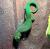 Фельзума великолепная (с)  Phelsuma grandis